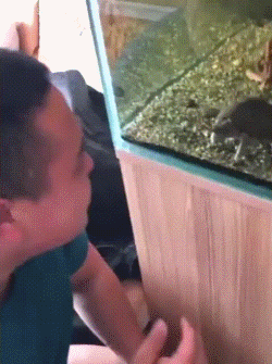 9c17a126cbdb1633eaaad2f8f12d7bae.gif